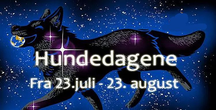 hundedagenetopimage